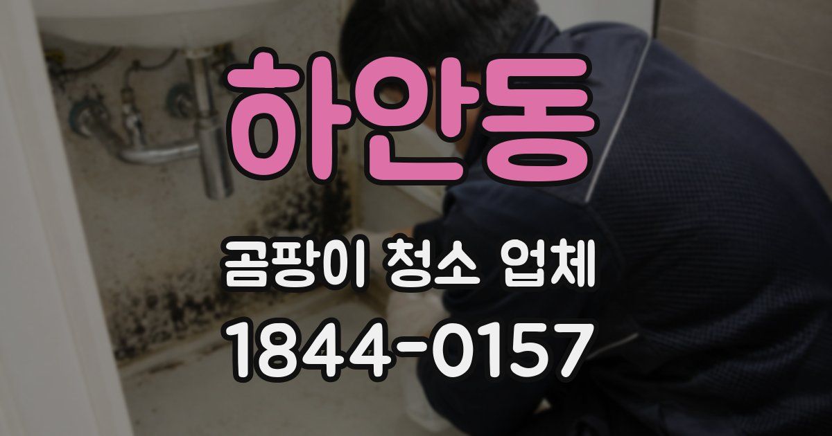 하안동 곰팡이 청소 업체