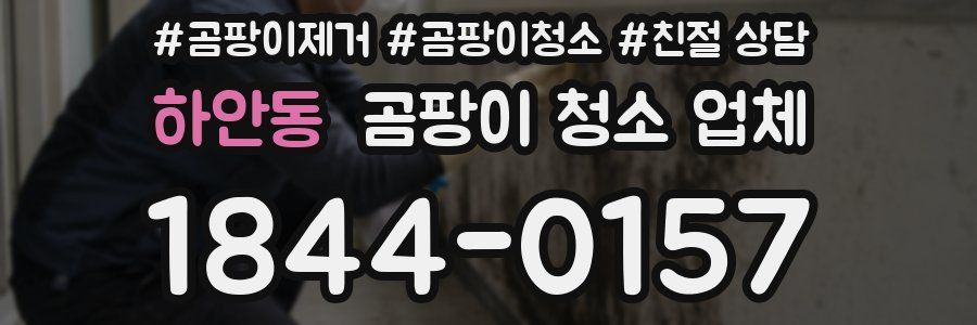 하안동 곰팡이 청소 업체