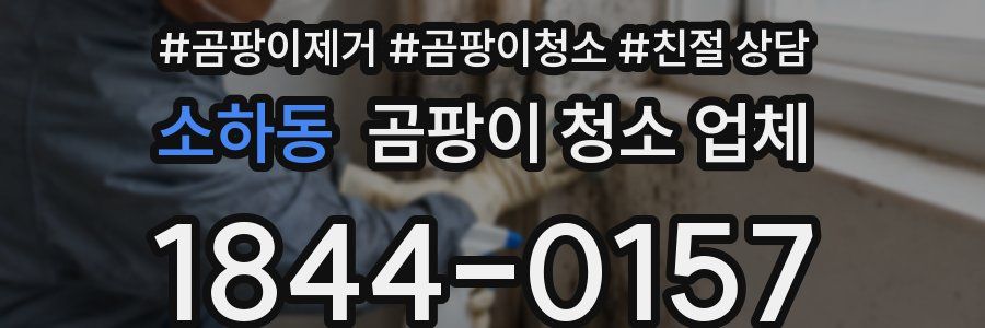 소하동 곰팡이 청소 업체