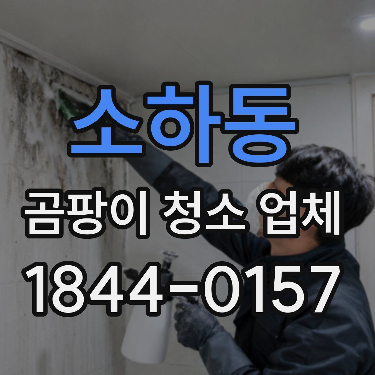 소하동 곰팡이 청소 업체
