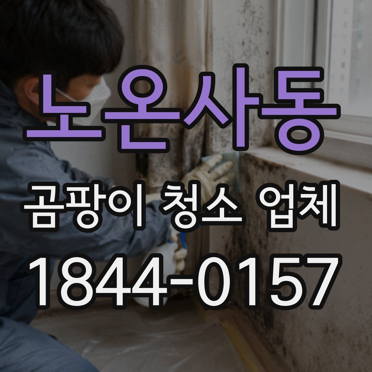 노온사동 곰팡이 청소 업체