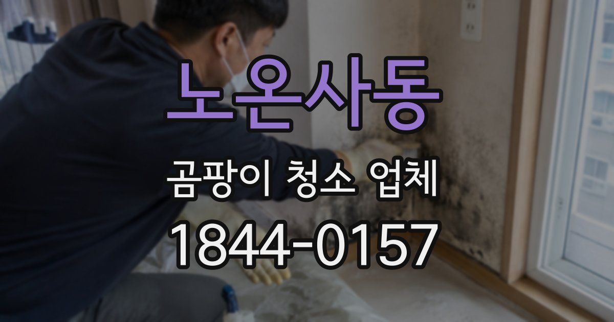 노온사동 곰팡이 청소 업체