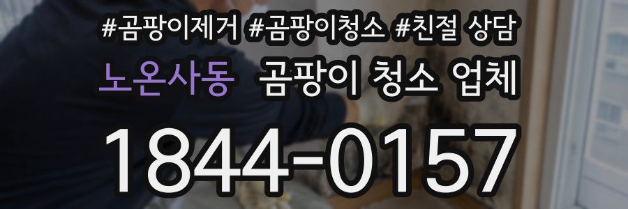 노온사동 곰팡이 청소 업체