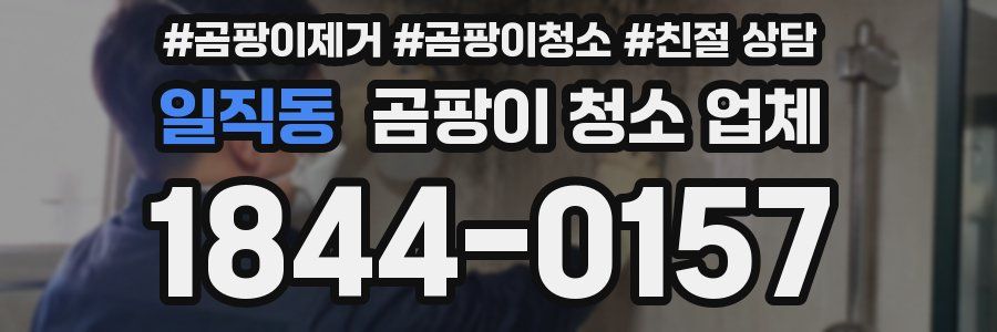 일직동 곰팡이 청소 업체