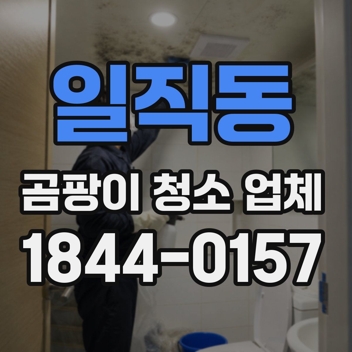 일직동 곰팡이 청소 업체