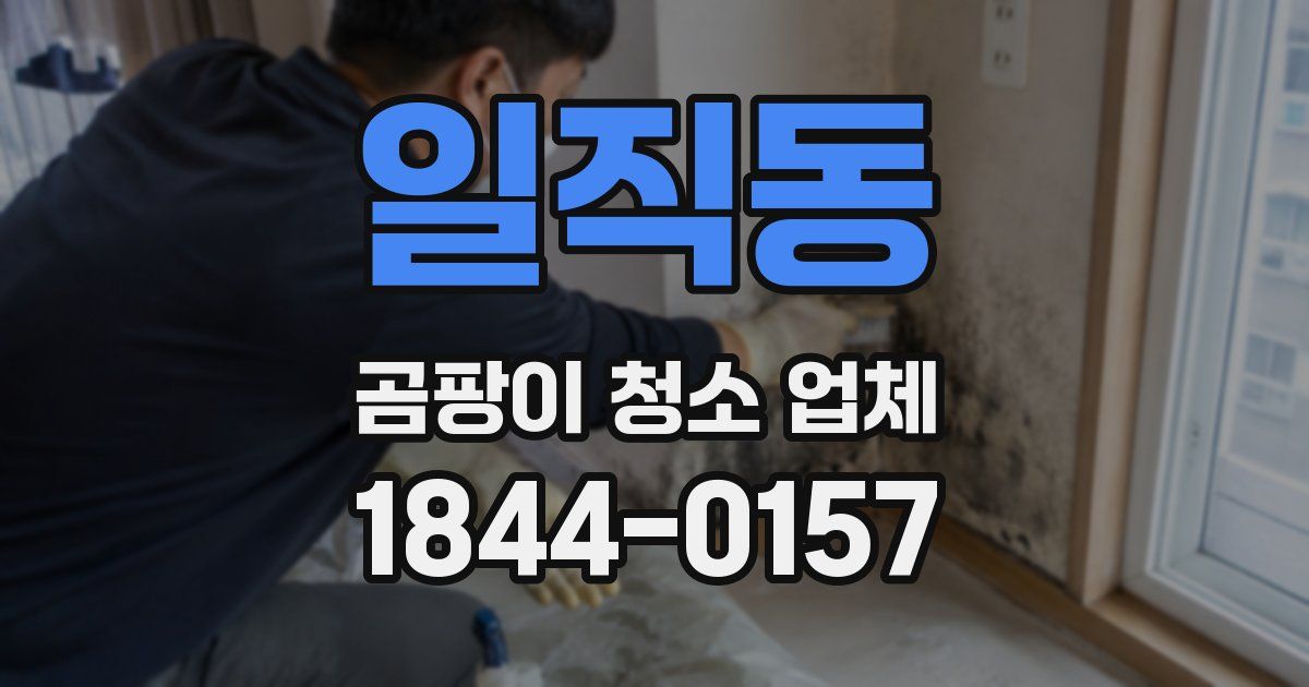 일직동 곰팡이 청소 업체