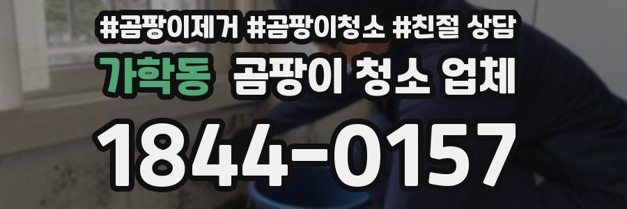 가학동 곰팡이 청소 업체