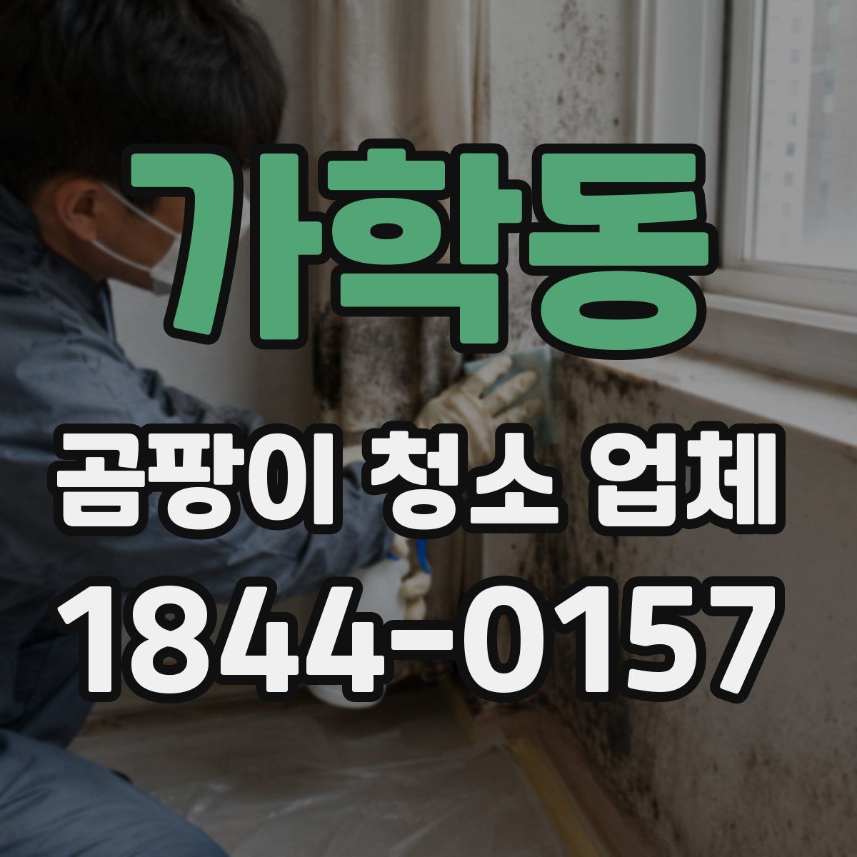 가학동 곰팡이 청소 업체