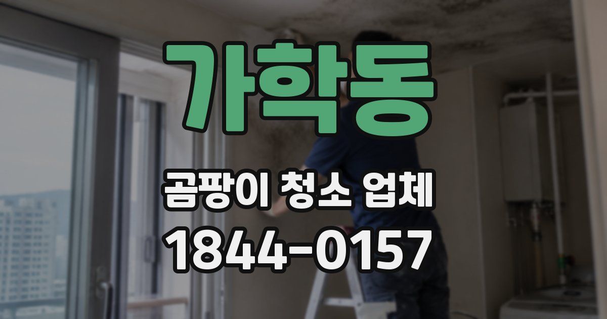 가학동 곰팡이 청소 업체