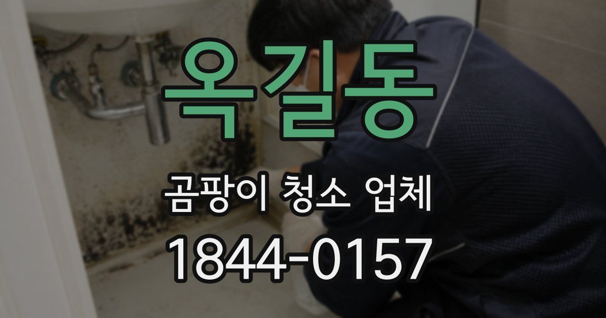 옥길동 곰팡이 청소 업체