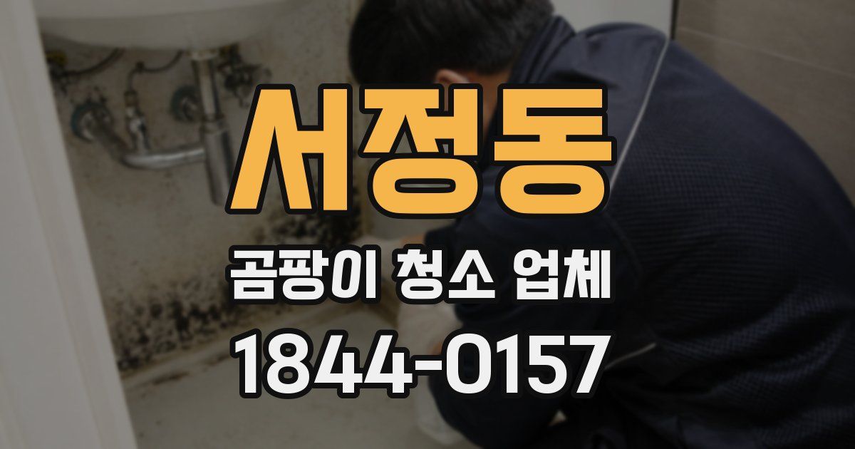 서정동 곰팡이 청소 업체