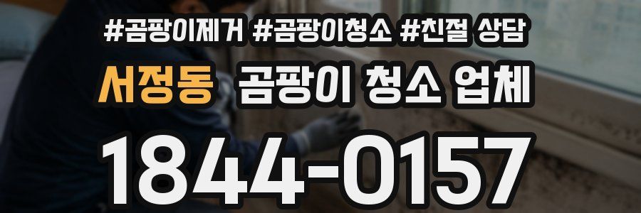 서정동 곰팡이 청소 업체