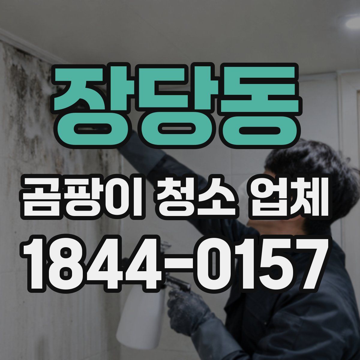 장당동 곰팡이 청소 업체