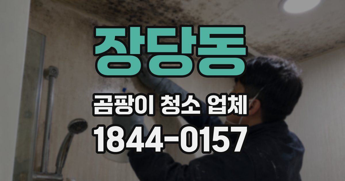 장당동 곰팡이 청소 업체