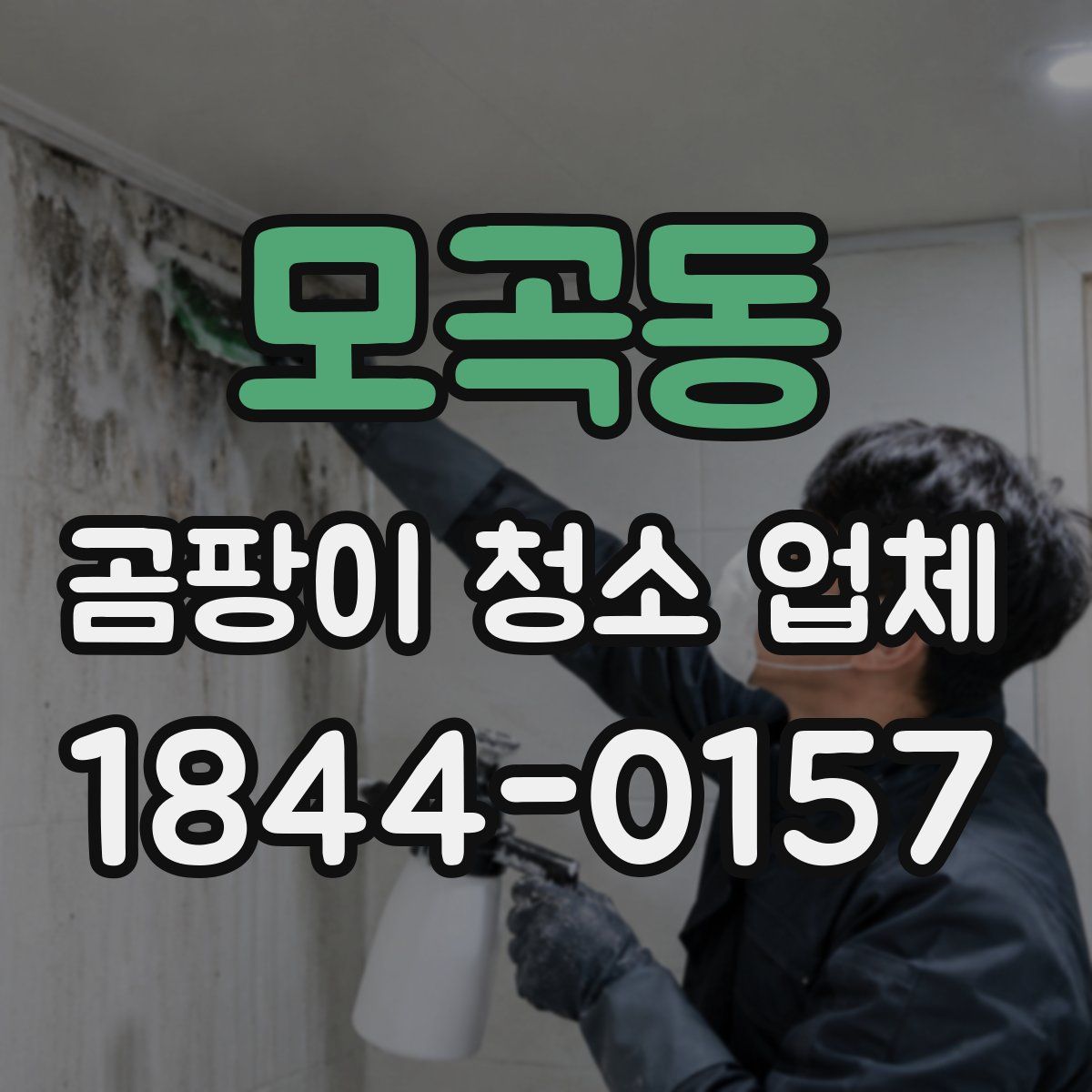 모곡동 곰팡이 청소 업체