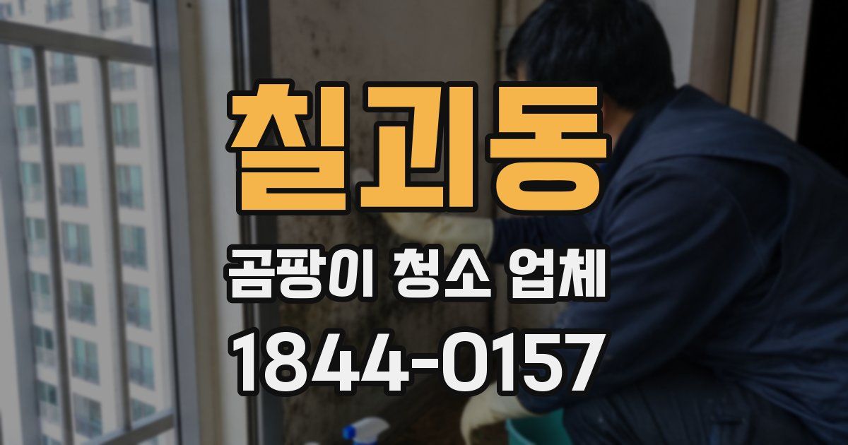 칠괴동 곰팡이 청소 업체