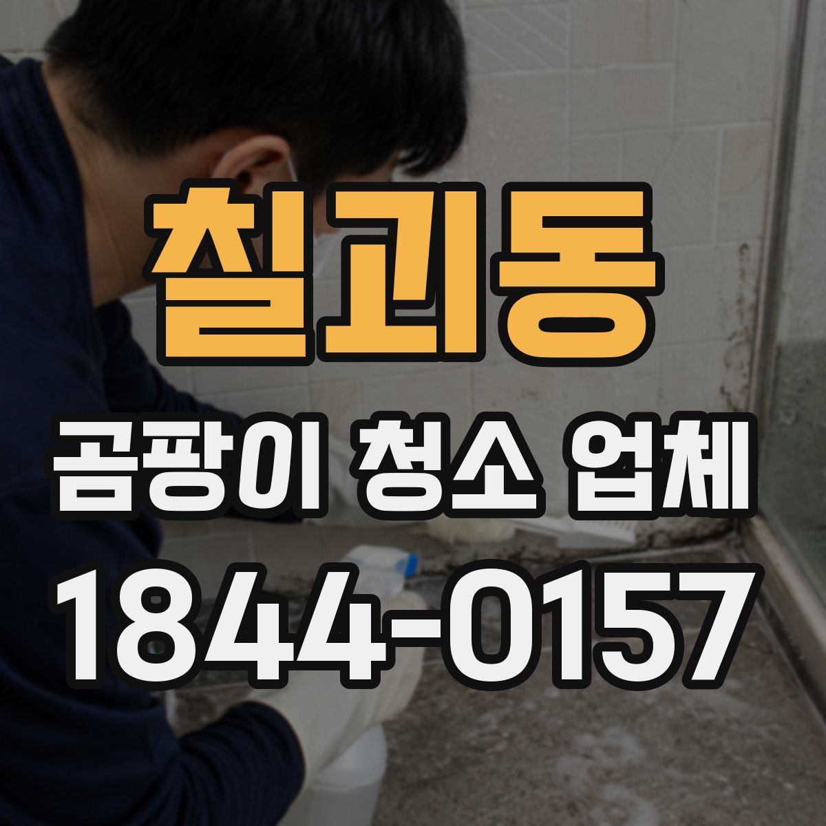 칠괴동 곰팡이 청소 업체