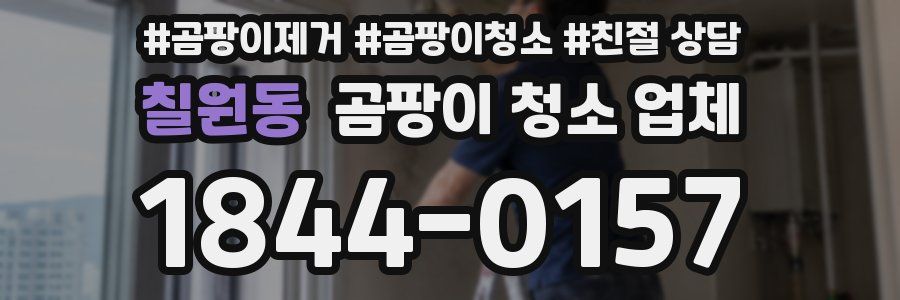 칠원동 곰팡이 청소 업체