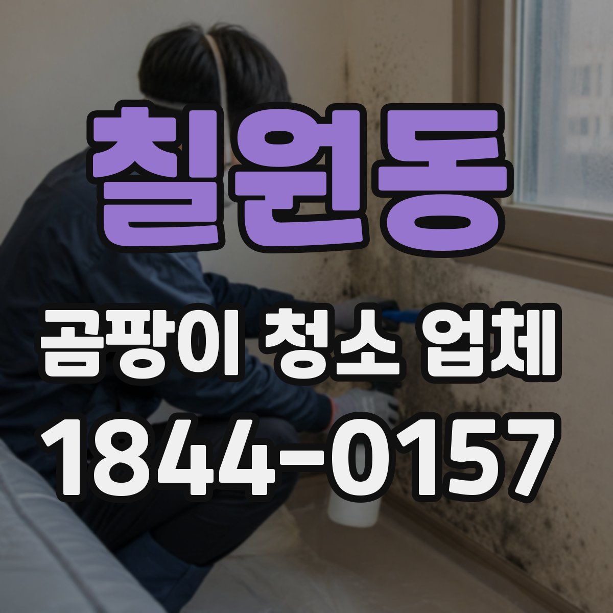 칠원동 곰팡이 청소 업체