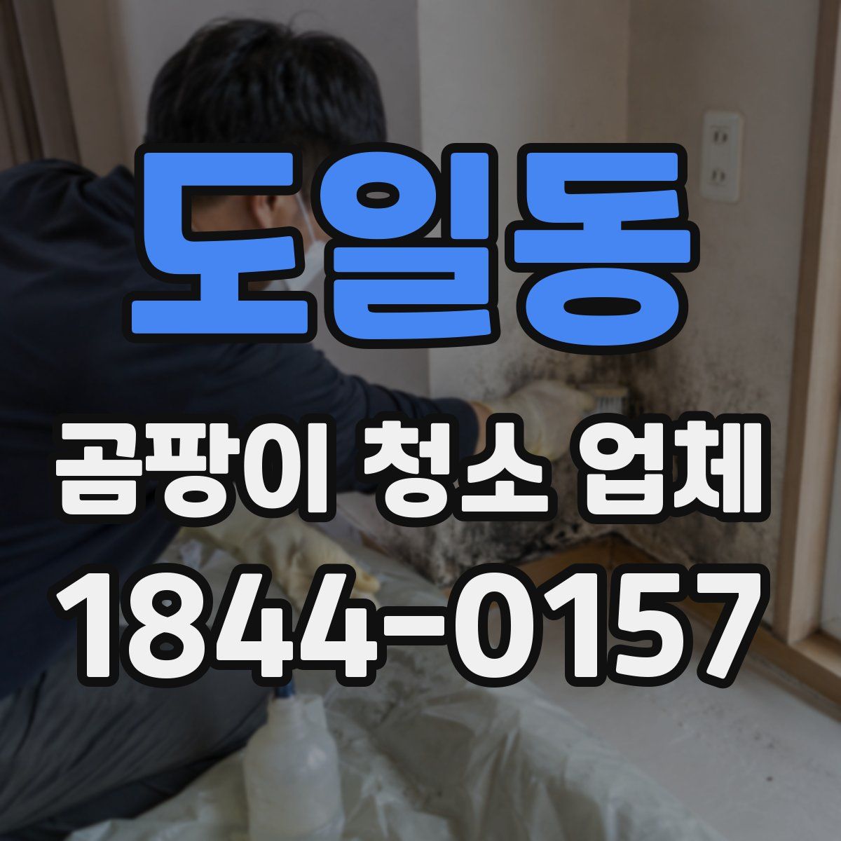 도일동 곰팡이 청소 업체