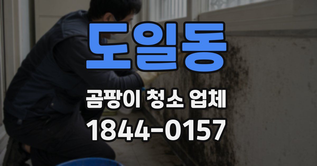 도일동 곰팡이 청소 업체