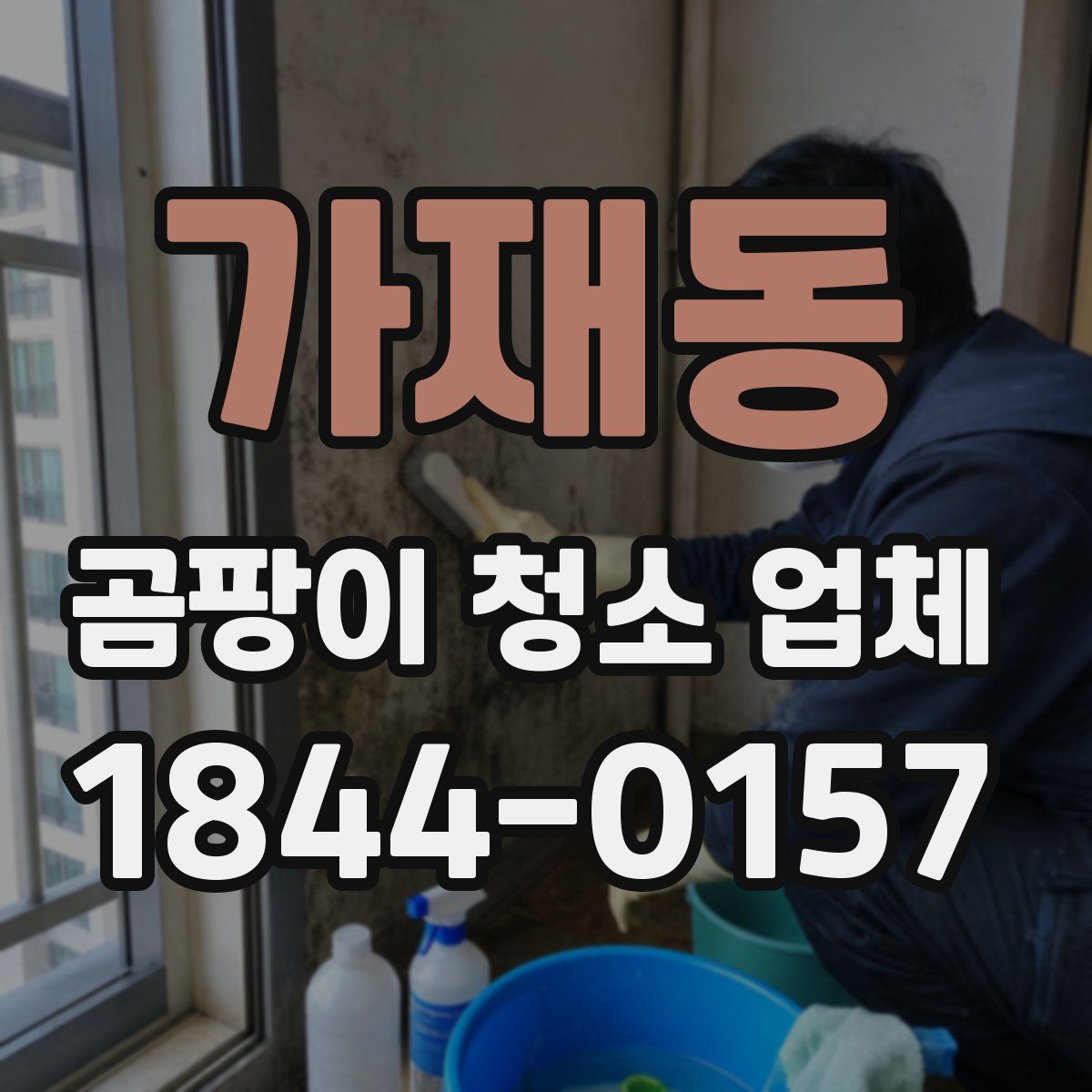 가재동 곰팡이 청소 업체