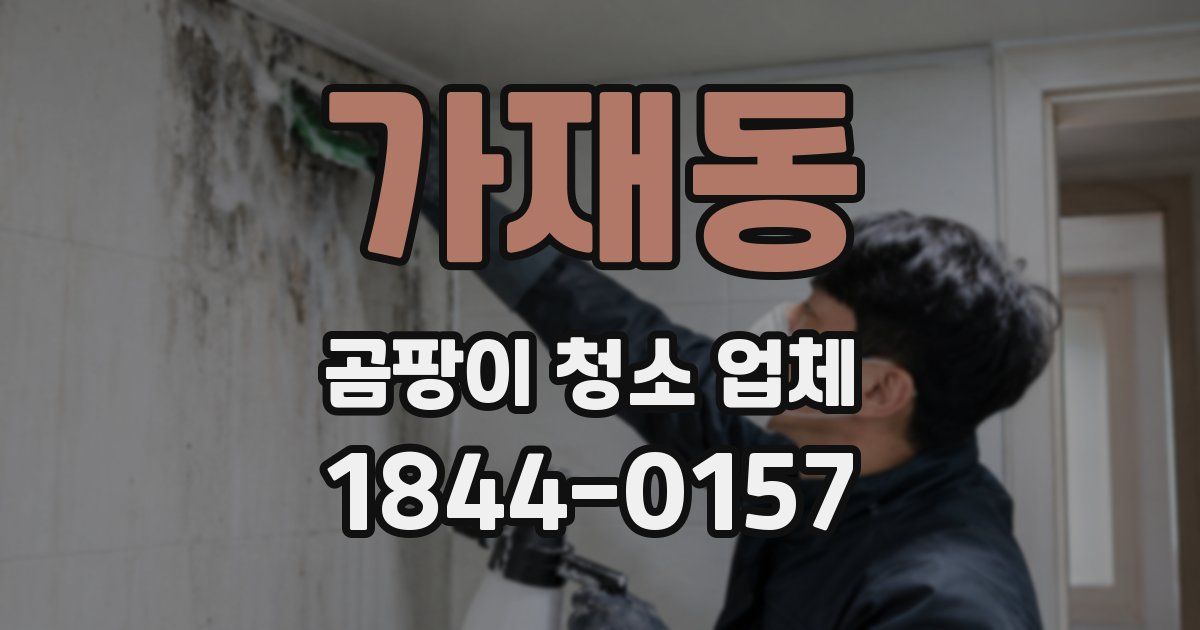 가재동 곰팡이 청소 업체