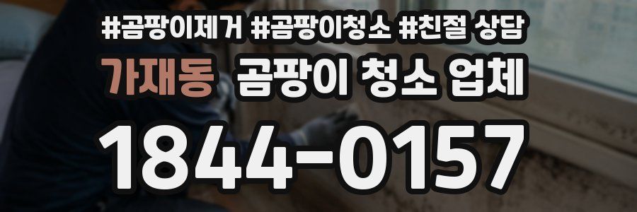 가재동 곰팡이 청소 업체