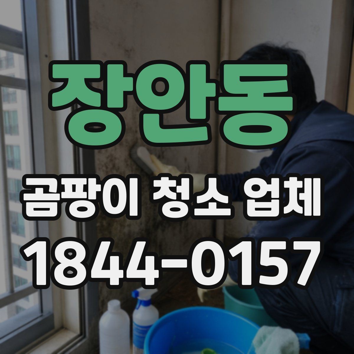 장안동 곰팡이 청소 업체 작업 범위가 넓어지는 경우