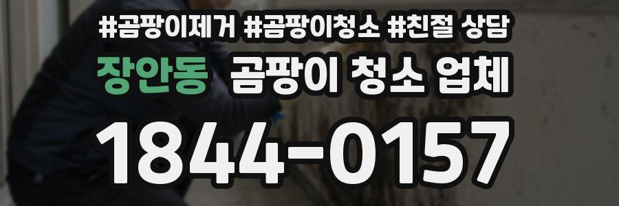 장안동 곰팡이 청소 업체