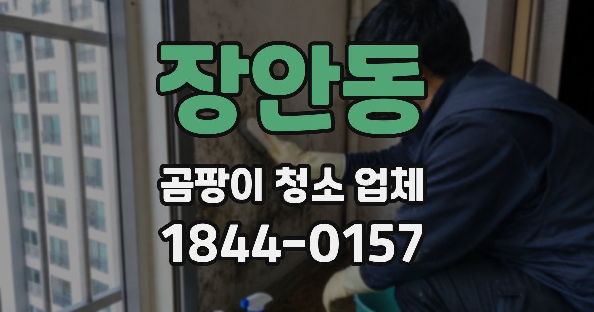 장안동 곰팡이 청소 업체