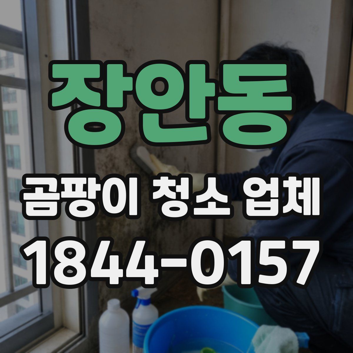 장안동 곰팡이 청소 업체
