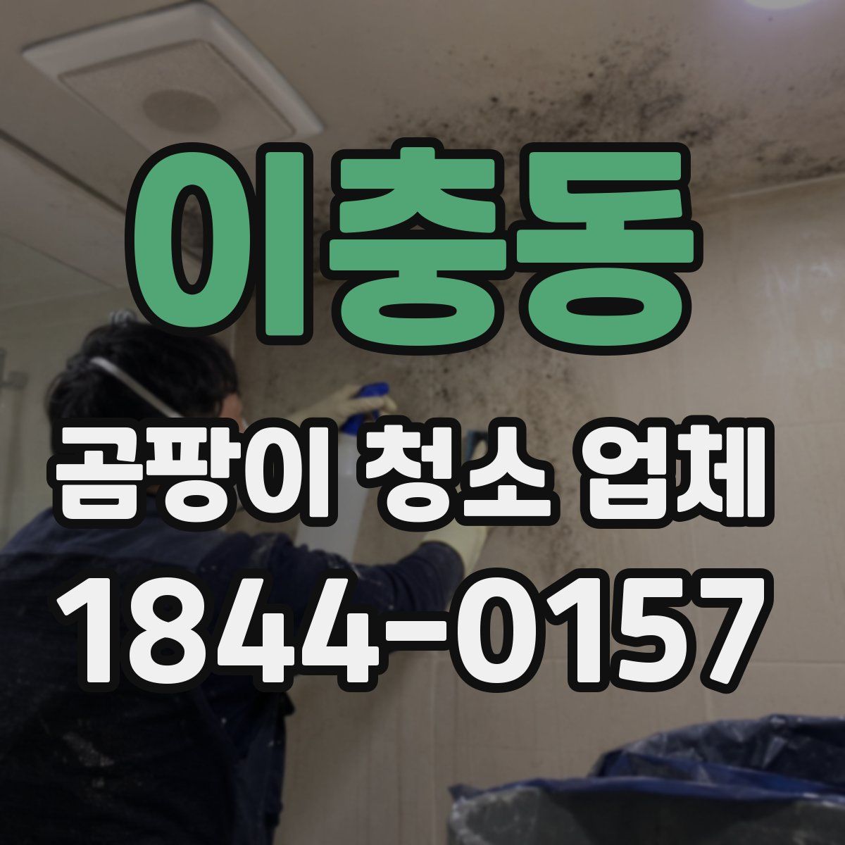 이충동 곰팡이 청소 업체