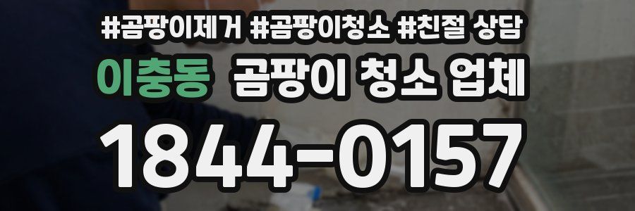 이충동 곰팡이 청소 업체