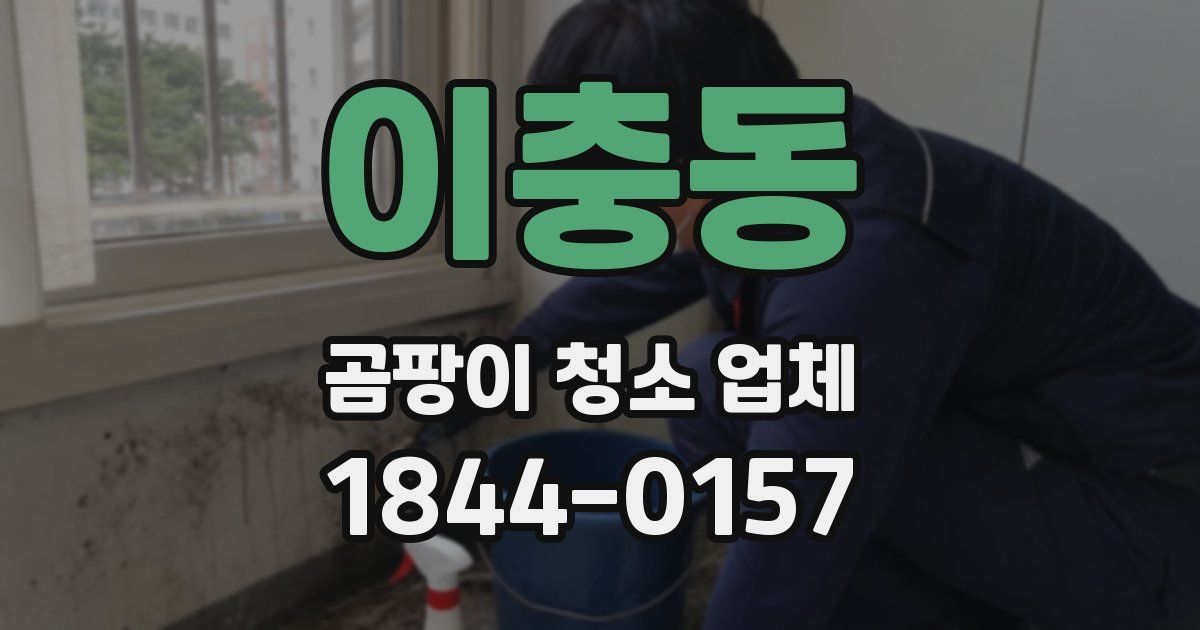 이충동 곰팡이 청소 업체