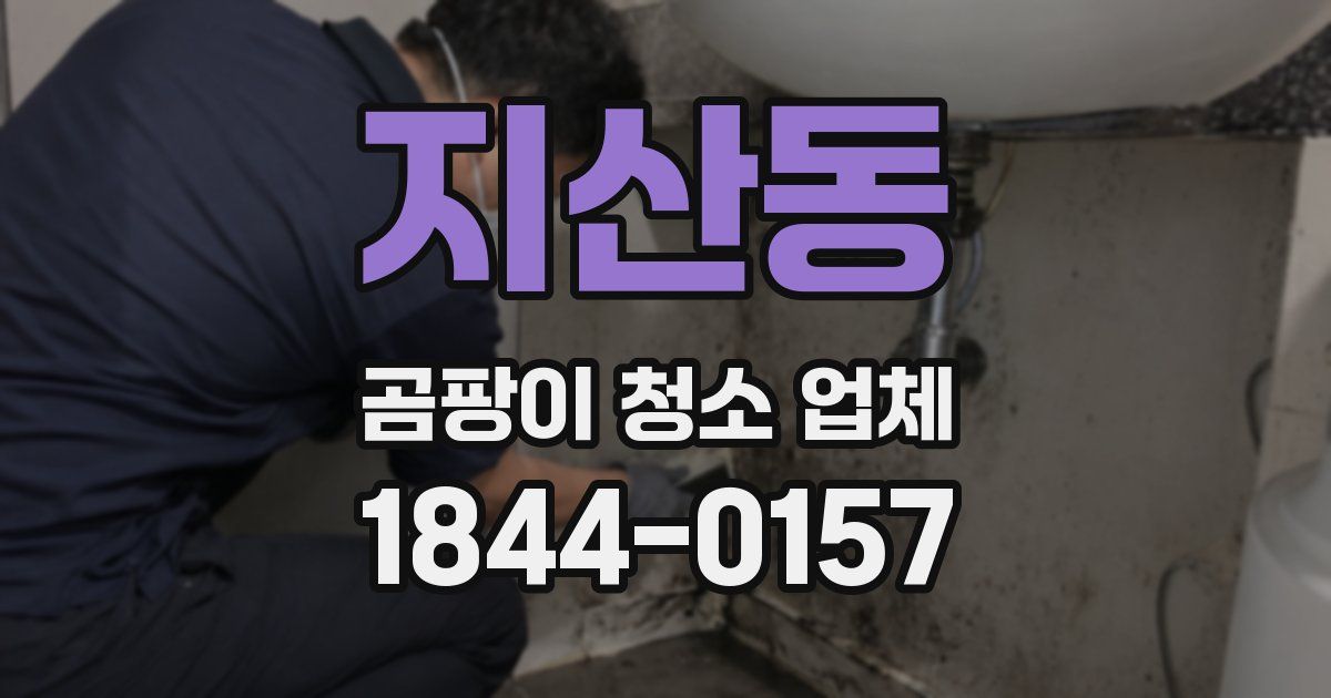지산동 곰팡이 청소 업체