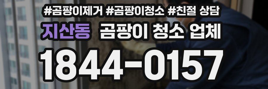 지산동 곰팡이 청소 업체