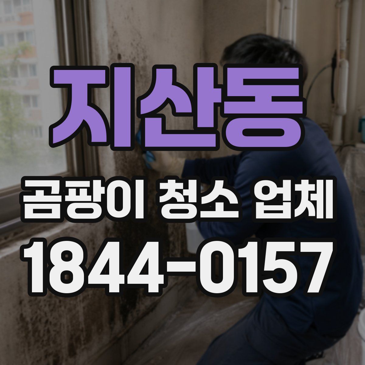 지산동 곰팡이 청소 업체