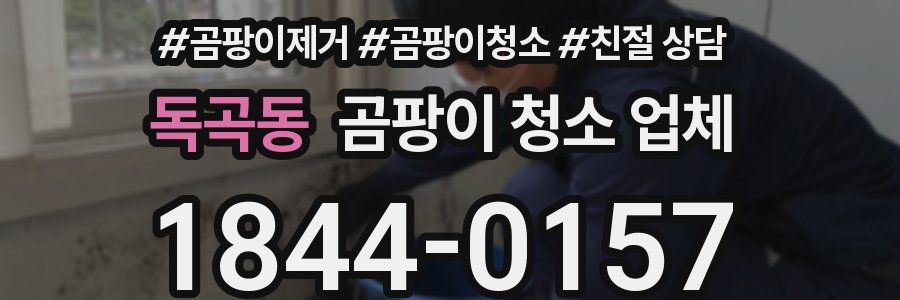 독곡동 곰팡이 청소 업체