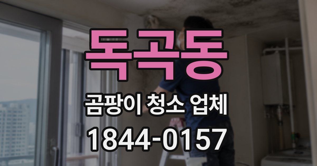 독곡동 곰팡이 청소 업체