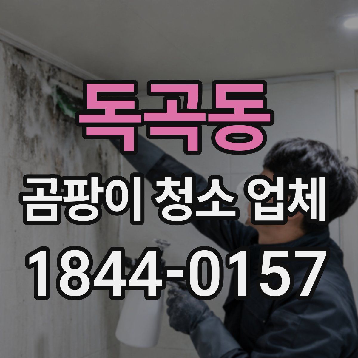 독곡동 곰팡이 청소 업체