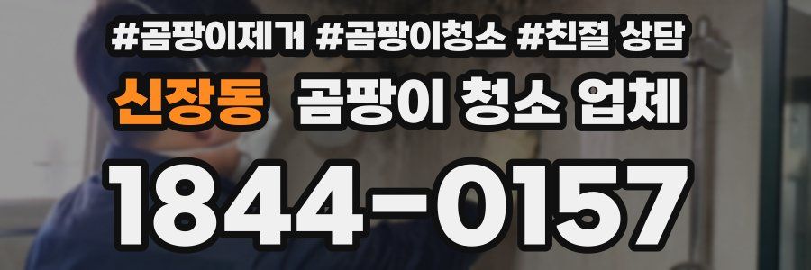 신장동 곰팡이 청소 업체