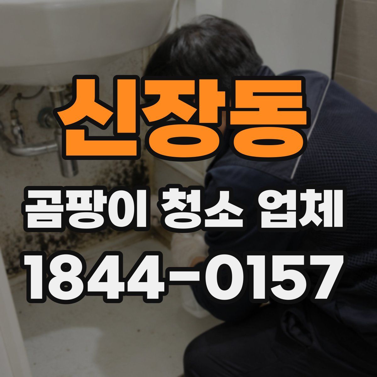 신장동 곰팡이 청소 업체