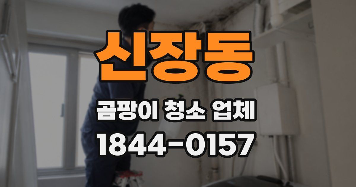 신장동 곰팡이 청소 업체