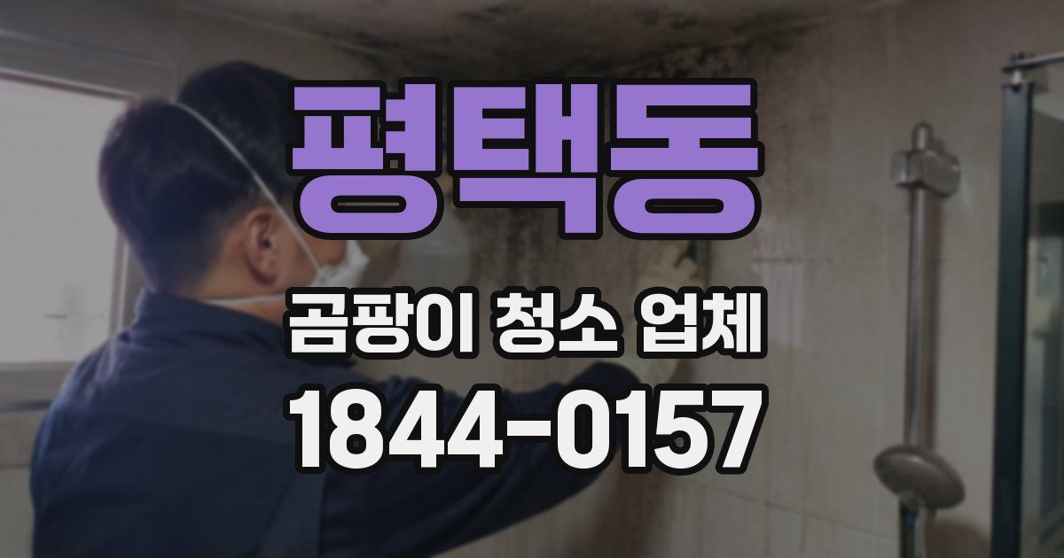 평택동 곰팡이 청소 업체