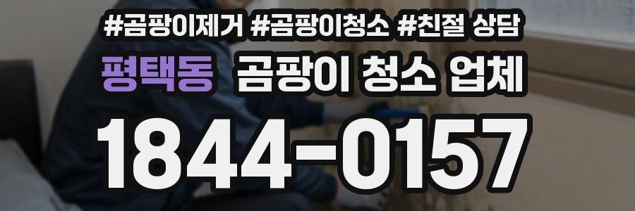 평택동 곰팡이 청소 업체