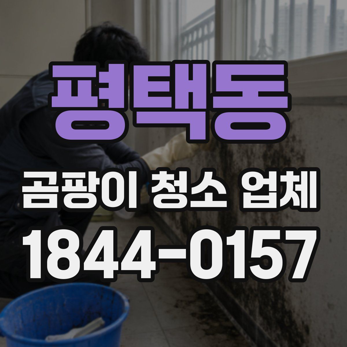 평택동 곰팡이 청소 업체