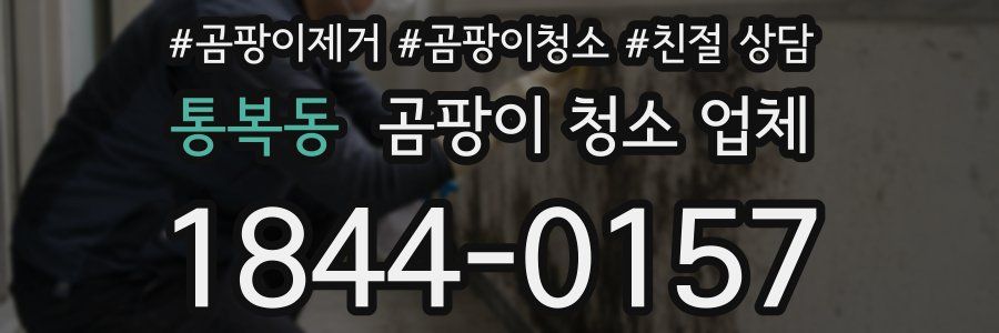 통복동 곰팡이 청소 업체