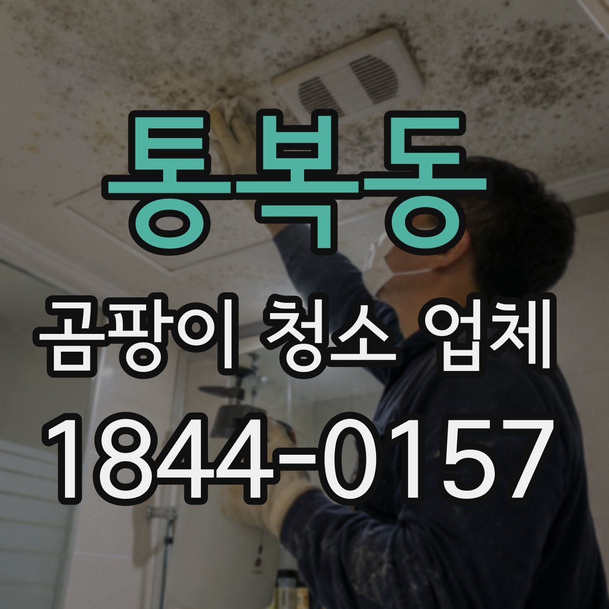 통복동 곰팡이 청소 업체