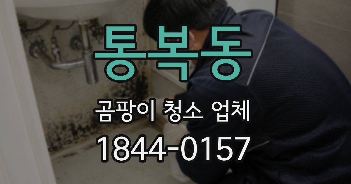 통복동 곰팡이 청소 업체